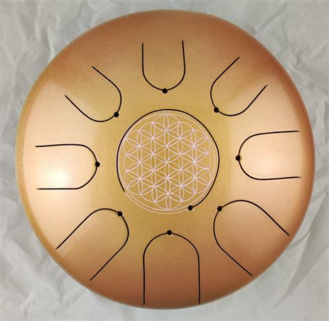 aethera vibrations à Lentiol