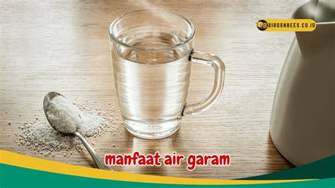 air garam