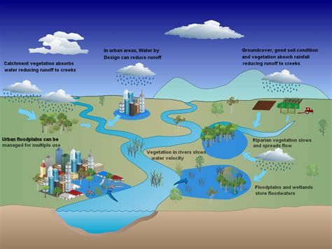 alternative practices to reduce human impact on waterways
