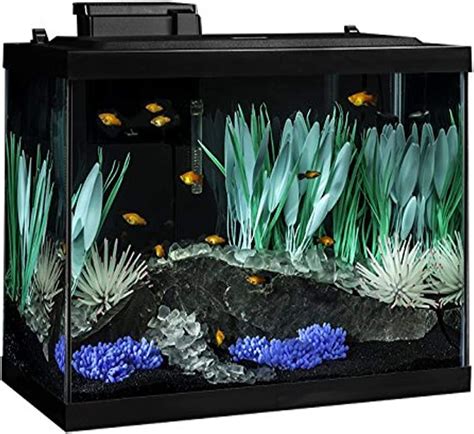 amazon fish tank