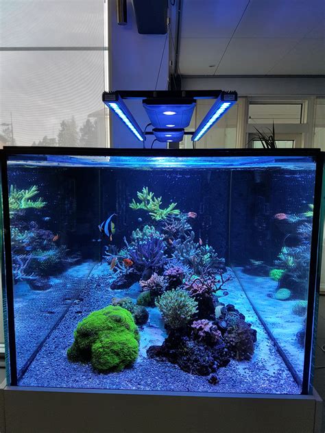 Aquarium light