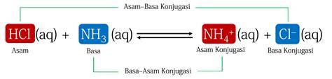 Asam dan Basa Bronsted