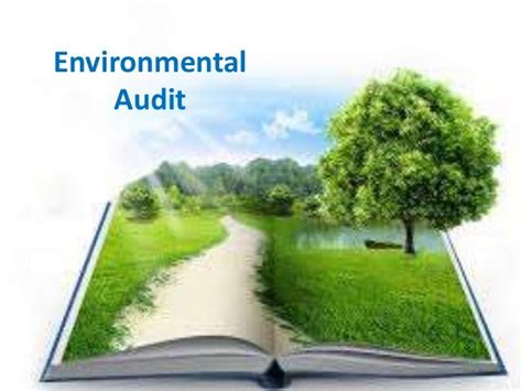 Audit your environment regularly