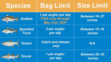 Bag Limits in Fishing in AZ