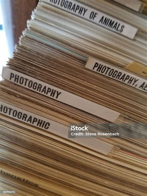 Baltimore Library Catalog