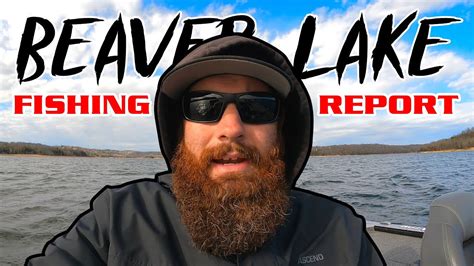 Beaver Lake Fishing