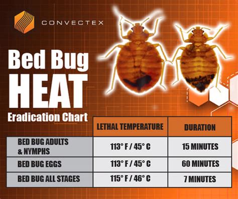 Bed Bug Temperature Chart