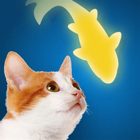 Benefits of the Fish App for Cats