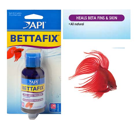 Betta Fish Medication