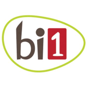 bi1 à Levier