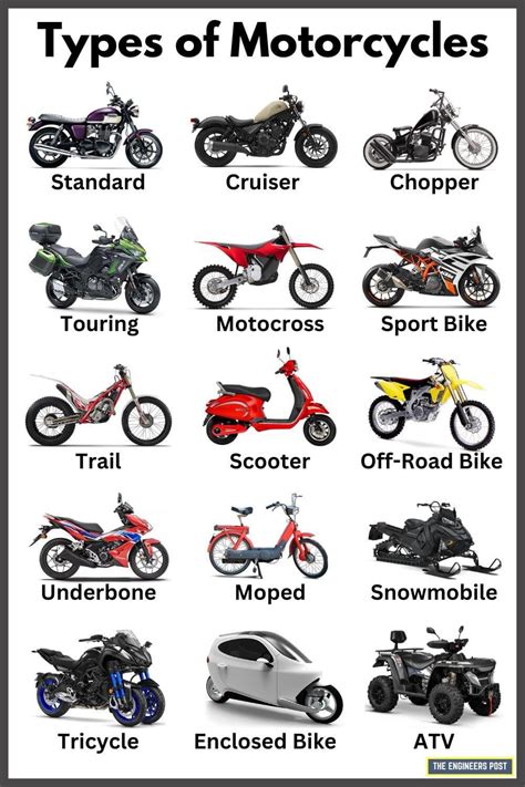 Bikers motorcycles types