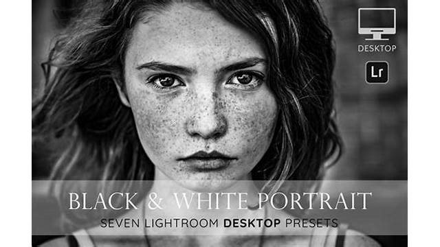 black and white preset lightroom