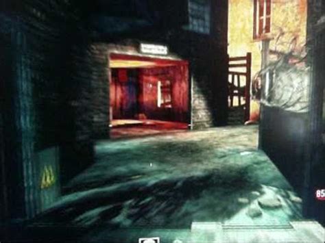 Black Ops Der Riese Fly Trap Walkthrough