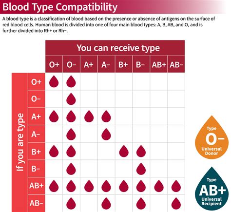 Blood Compatibility Chart