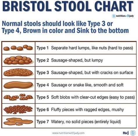 Bristol Stool Chart Type 3