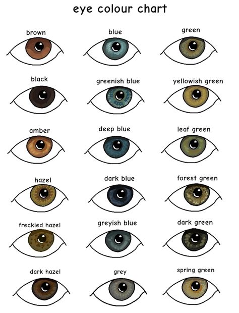 Brown Eye Color Chart