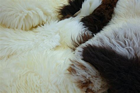 bulu domba produk tekstil