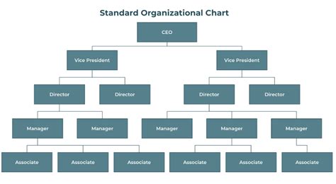 Business Organizational Chart Example