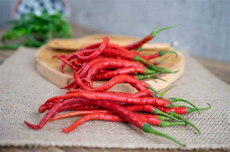 Cabe Merah Keriting
