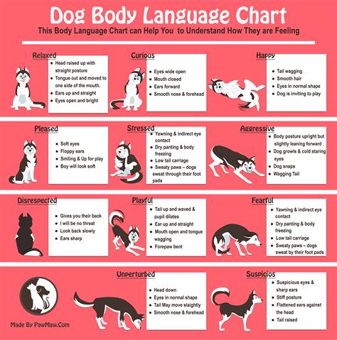 Canine Body Language Chart