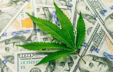 cannabis funding