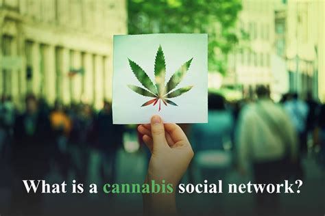 Cannabis Industry Networking