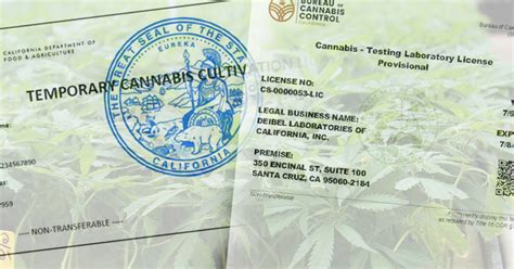 cannabis licenses