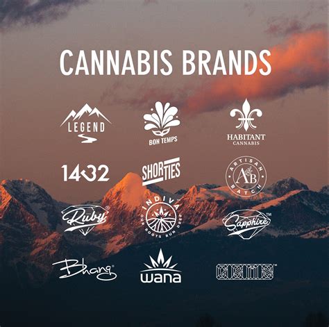 cannabis personal branding