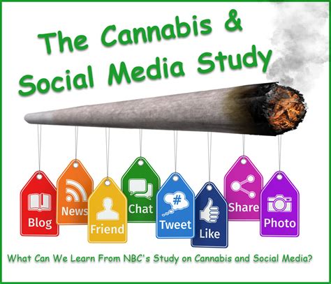 cannabis social media