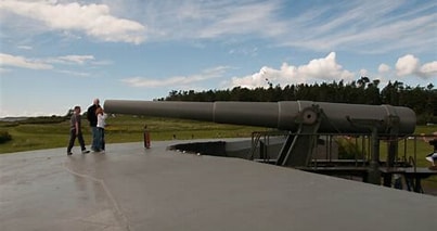 cannon inspection