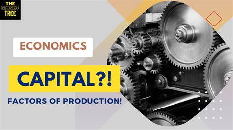 Capital as a factor of production