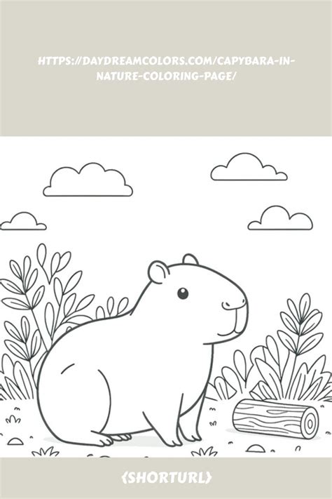 Capybara Coloring Pages Printable