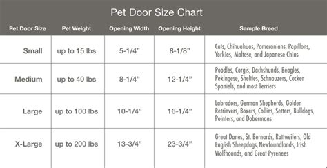 Cat Door Size Chart