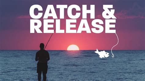Catch and release program