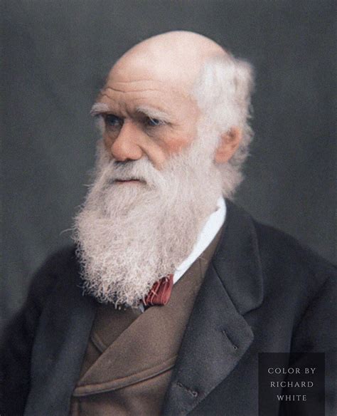 download charles darwin