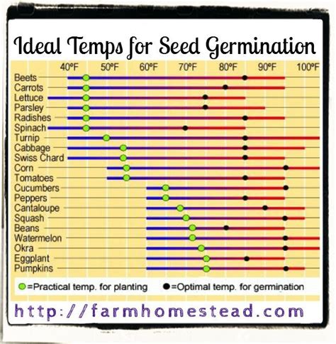 Chart Of Seed Germination