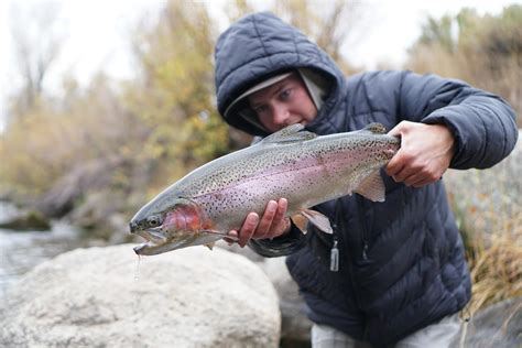 Fishing in Colorado
