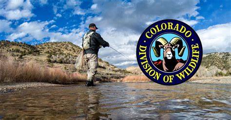 Colorado Fishing License Buy at License Agents