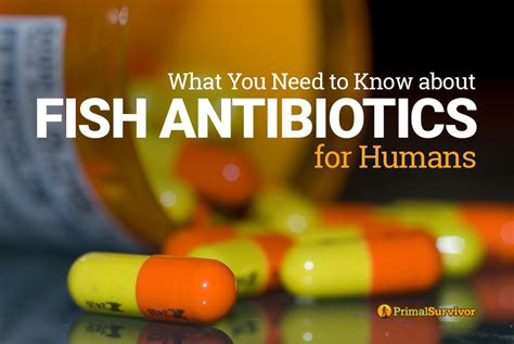complications of fish antibiotics