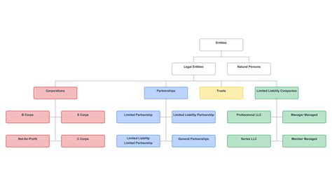 Corporate Entity Structure Chart