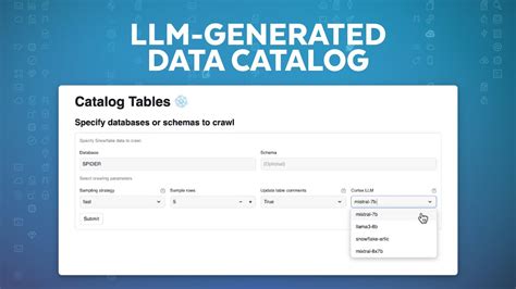 Data Catalog Llm