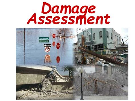 Assess The Extent Of The Damage