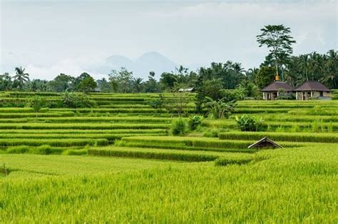 Dataran Rendah Indonesia
