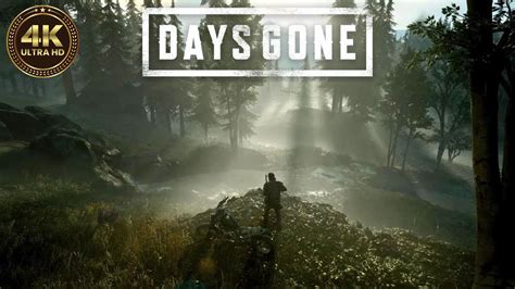 Days Gone Ps5 Walkthrough