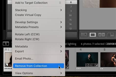 Delete Lightroom Catalog