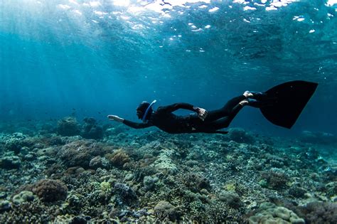 Diving in Kepulauan Seribu