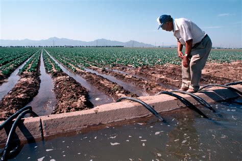 dry climate irrigation