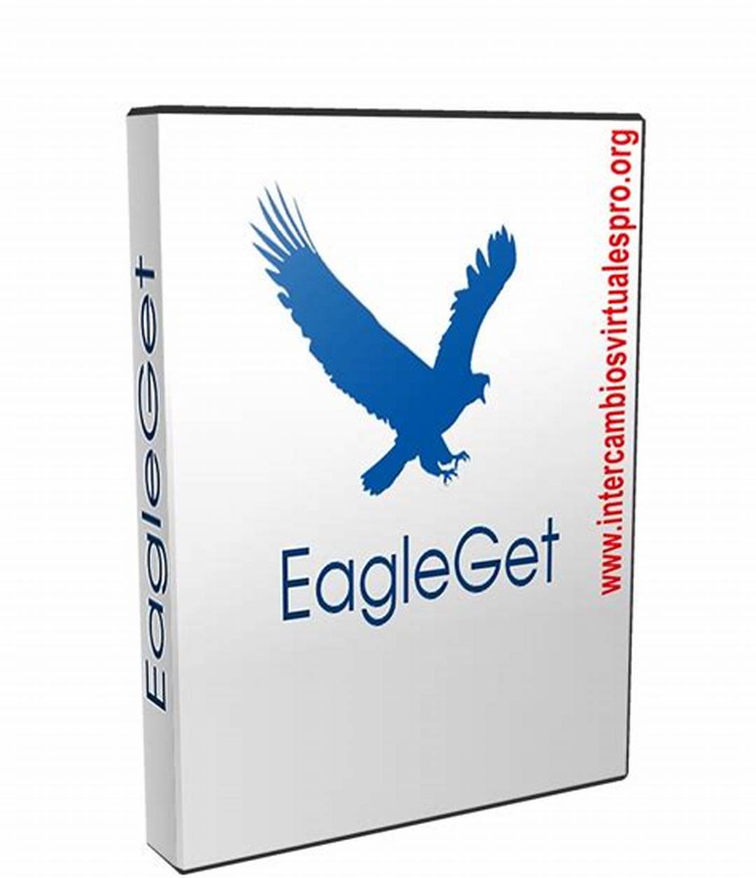 EagleGet poster