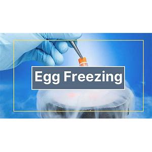 egg freezing insurance