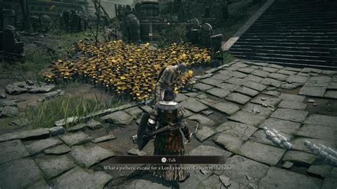 Elden Ring Npc Walkthrough